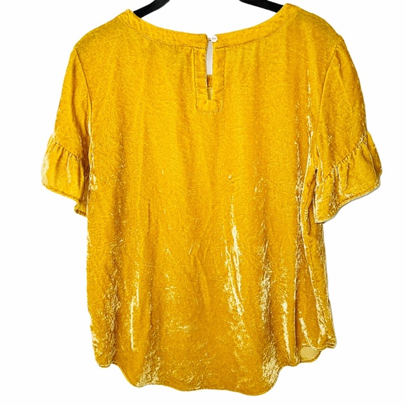 LOFT Crushed Velvet Ruffle Sleeve Top - Picture 3 of 6